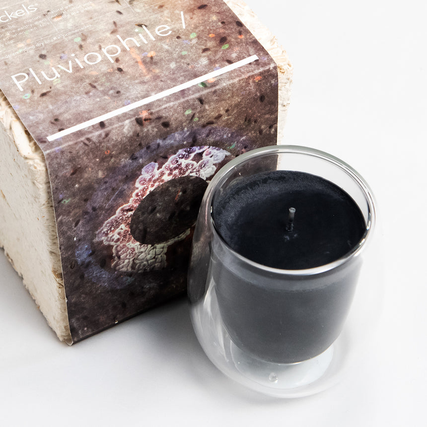 Haeckels Pluviophile Rain Candle