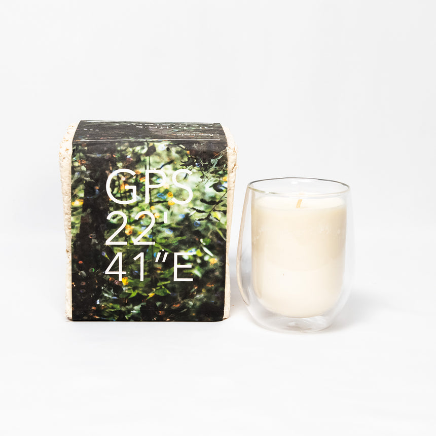 Haeckels Candle St Johns Cemetery / GPS 22’ 41”E  [マイセリウム・パッケージ]